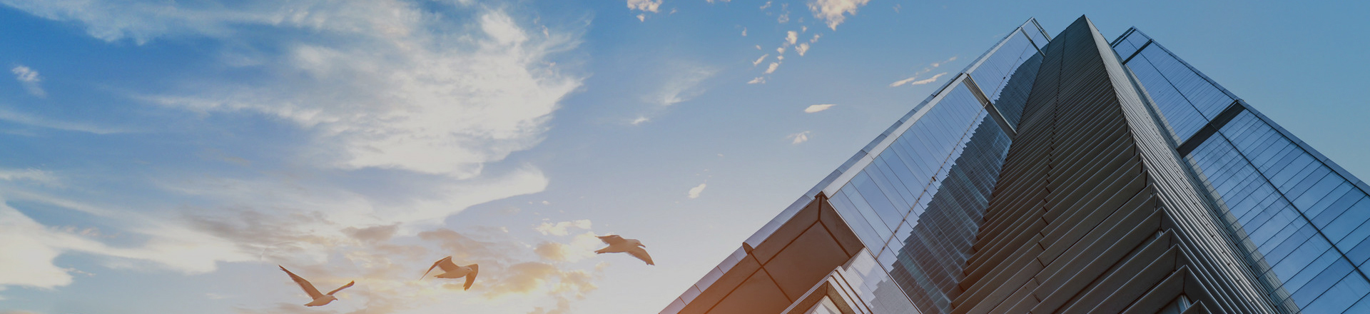 關(guān)于我們 - 綠意盎然，打造城市綠洲 - 聊城市宏泰景觀園林工程有限公司